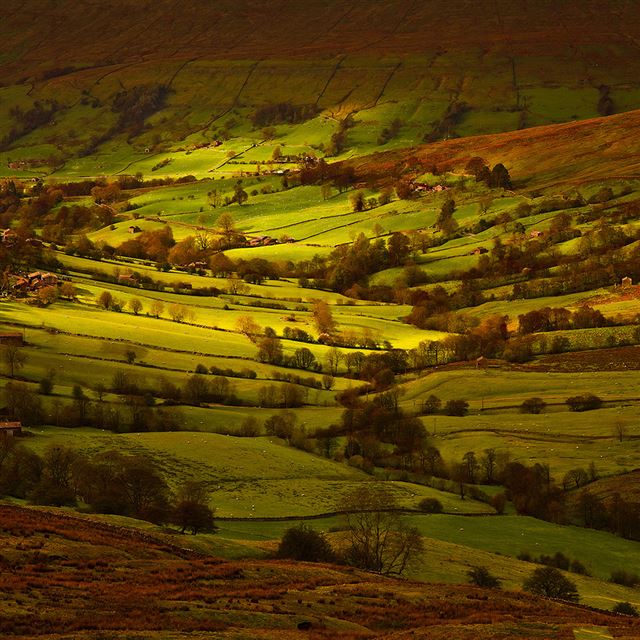 1024x1024 Fall Field Mountain Nature Tree - tree iPad Wallpaper