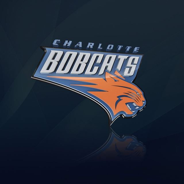 1024x1024 Charlotte Bobcats - logos iPad Wallpaper
