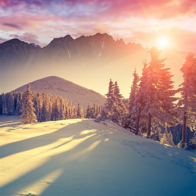 1024x1024 Winter Sunset Forest Shadows - mountains iPad Wallpaper