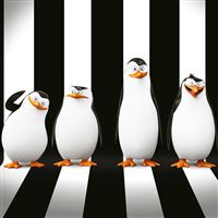Penguins Of Madagascar Movie wallpaper