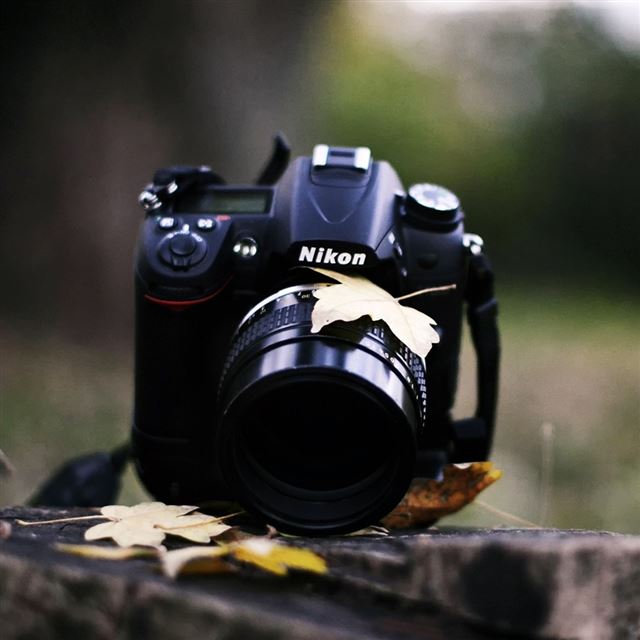 1024x1024 Nikon Camera Autumn - camera iPad Wallpaper