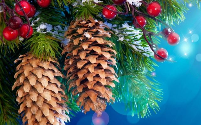 1024x1024 Digital Christmas Tree - green iPad Wallpaper