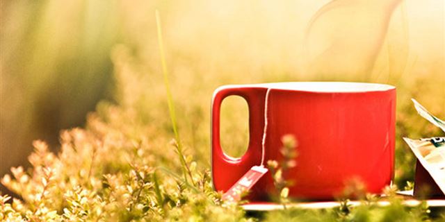 1024x1024 Abstract Red Cup Fog Over Grassland - cup iPad Wallpaper