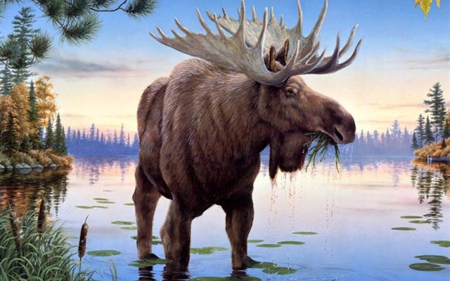 1024x1024 Moose Oil Painting - drawn iPad Wallpaper
