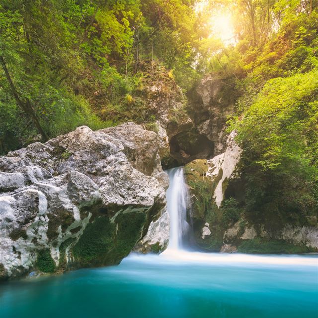 1024x1024 Sunshine Rock Hidden Lagoon - tree iPad Wallpaper