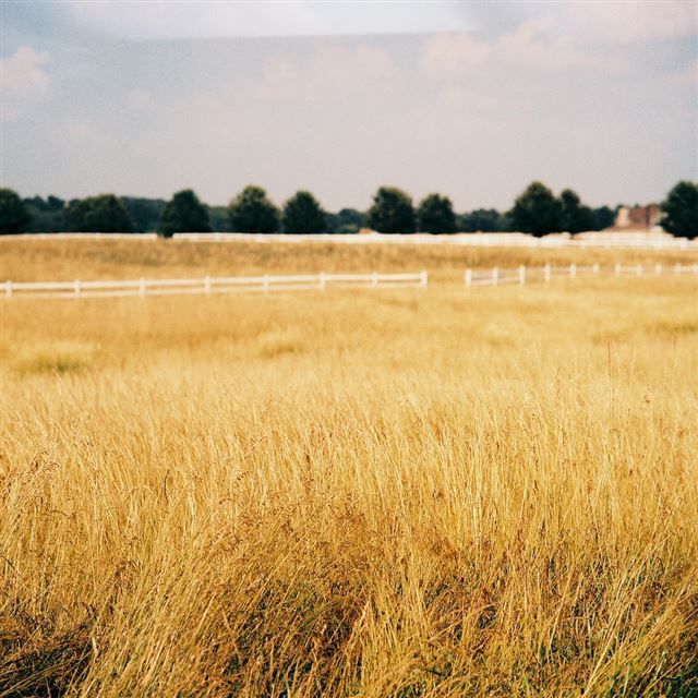 1024x1024 Nature Vast Farmland Landscape - vast iPad Wallpaper