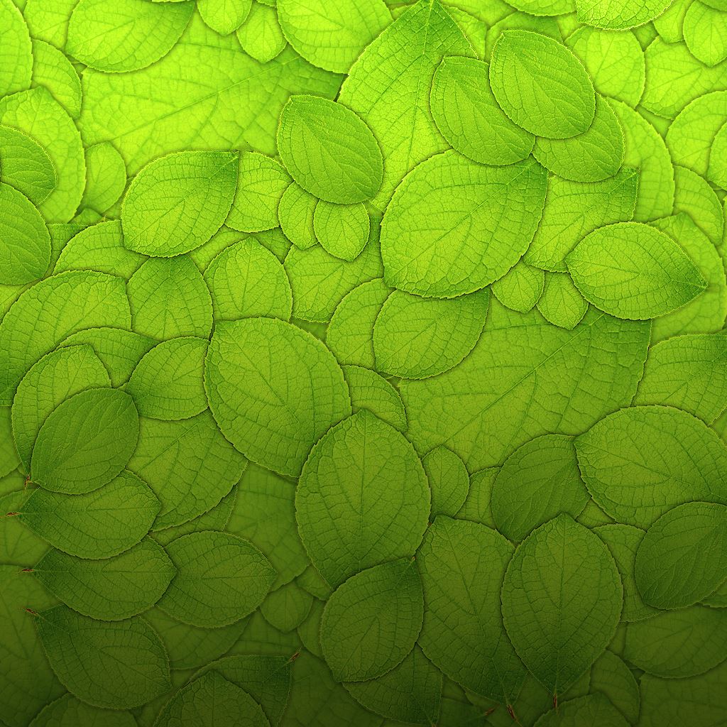 Pure Green Leaf Texture Pattern Background IPad Wallpapers Free Download
