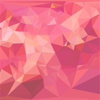 Triangle Geometry Pinkupinku Patterns wallpaper