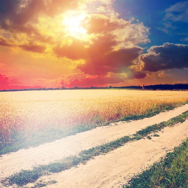1024x1024 Nature Hot Sunny Day Awesome Farm Landscape - road iPad Wallpaper