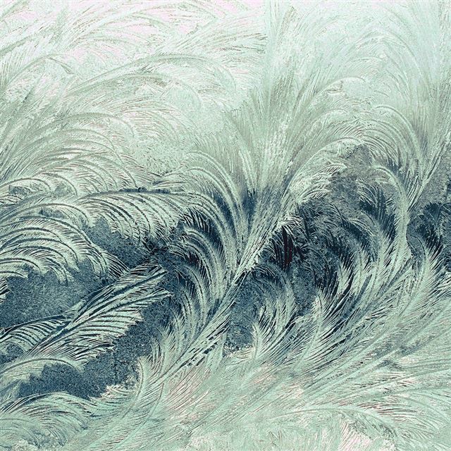 1024x1024 Winter Snow Window Cold Pattern Dark Green - window iPad Wallpaper