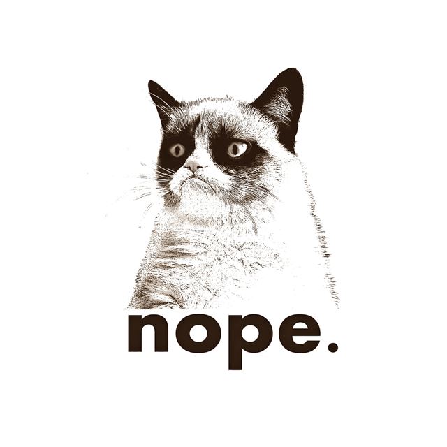 1024x1024 Nope Grumpy Cat Art Drawn - drawn iPad Wallpaper
