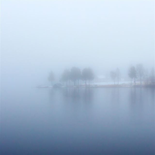 1024x1024 Nature Blur Foggy Wood Land Around Lake - tree iPad Wallpaper