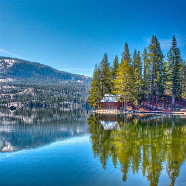 1024x1024 Red Lake National Forest - shadow iPad Wallpaper