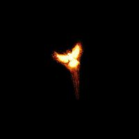 Phoenix New Year Bird Minimal Art wallpaper