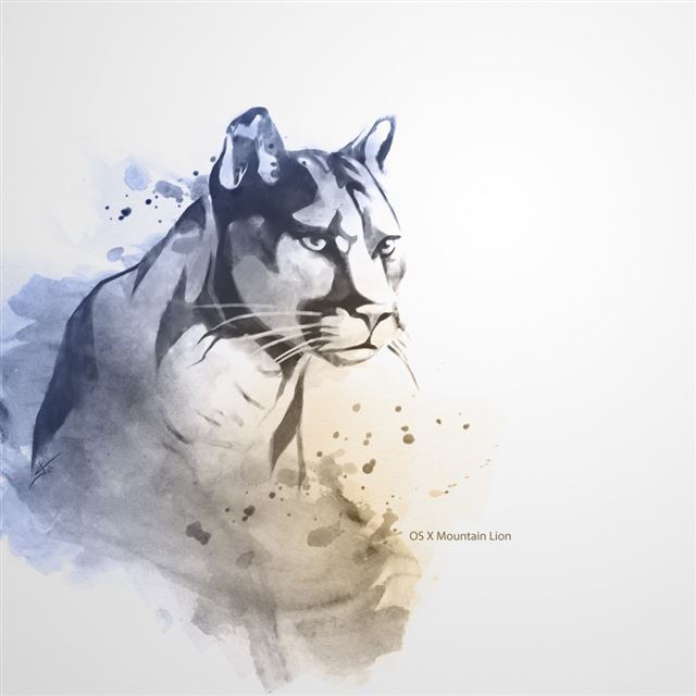 1024x1024 Mountain Lion Art - stone iPad Wallpaper