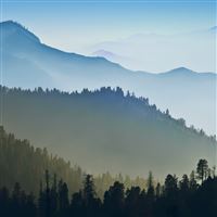 Foggy Mountains Forest Landscape wallpaper