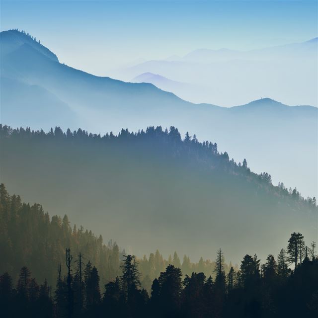 1024x1024 Foggy Mountains Forest Landscape - mountains iPad Wallpaper