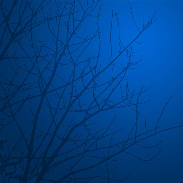 1024x1024 Blue Night Sky Branch Silhouette - tree iPad Wallpaper