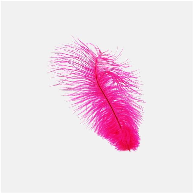 1024x1024 Feather Pink White Nature Minimal - minimal iPad Wallpaper