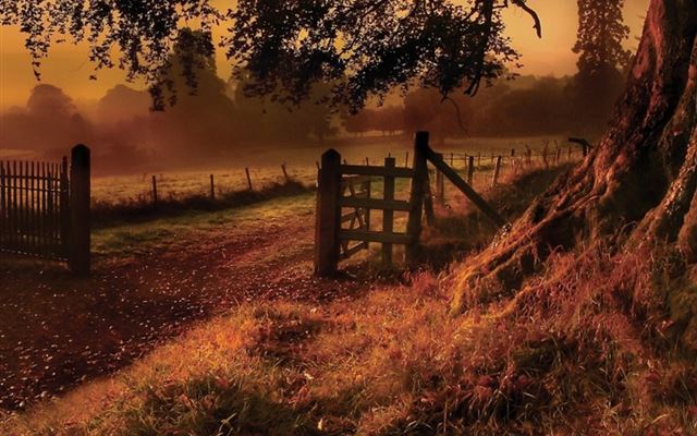 1024x1024 Countryside Path - tree iPad Wallpaper