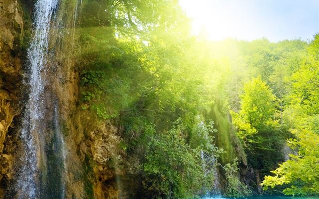 1024x1024 Woodlands Fall Lush - fall iPad Wallpaper