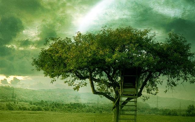 1024x1024 New World Tree House - tree iPad Wallpaper
