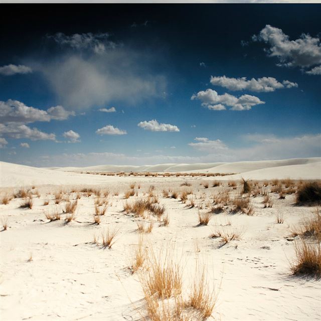 1024x1024 Nature Vast Dry Sandy Desert Landscape - desert iPad Wallpaper