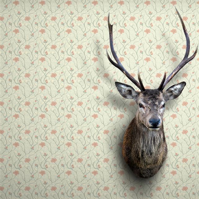 1024x1024 Floral Stag Reindeer Head - head iPad Wallpaper