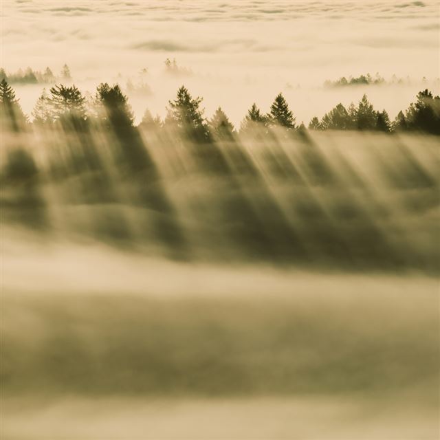 1024x1024 Nature Misty Shadow Field -  iPad Wallpaper