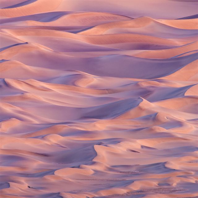 1024x1024 Pure Nature Red Dessert - dessert iPad Wallpaper