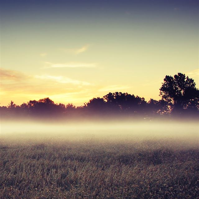 1024x1024 Nature Mist Grassland Field Sky View - tree iPad Wallpaper