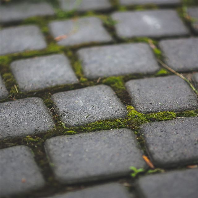 1024x1024 Garden Moss Stone Nature Road City -  iPad Wallpaper