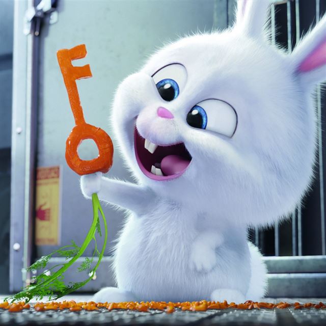 1024x1024 The Secret Life Of Pets 2016 Rabbit Snowball - brown iPad Wallpaper