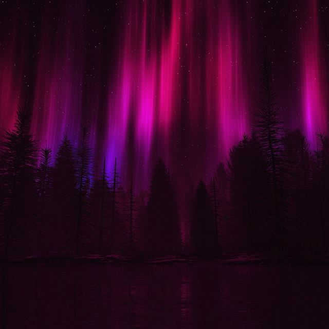 1024x1024 Aurora Night Sky Dark Red Nature Art - tree iPad Wallpaper