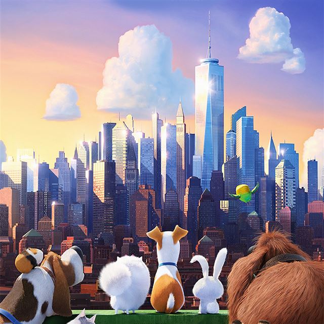 1024x1024 Secret Life Of Pets Animation Art Illustration - movie iPad Wallpaper