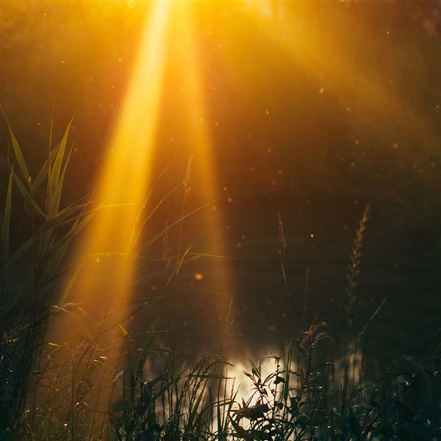 1024x1024 God Light Loves You Nature Flower Lake - view iPad Wallpaper