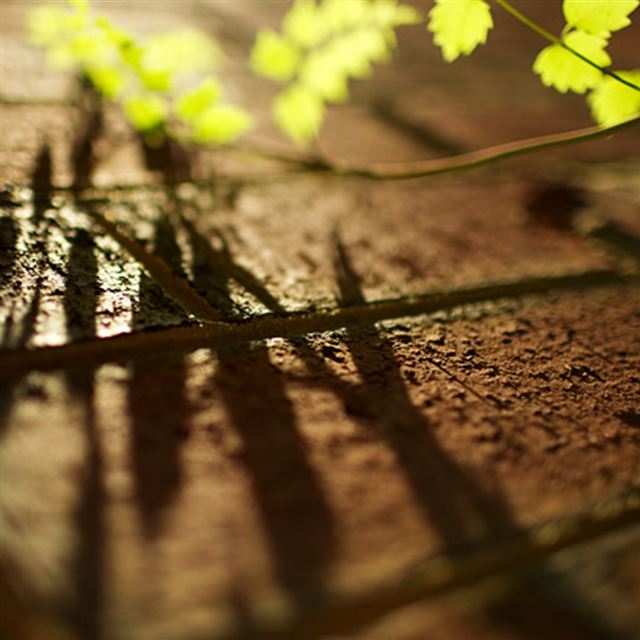 1024x1024 Morning Sunshine Brick Wall In Your Shadow - cyan iPad Wallpaper