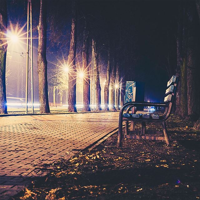 1024x1024 Street Night Bench Nature Dark - yellow iPad Wallpaper