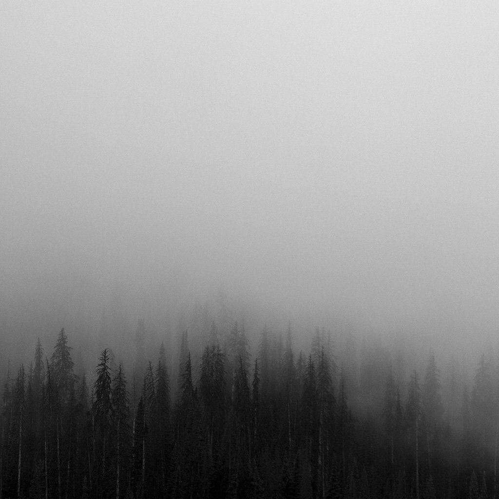 Fog Minimal Mountain Wood Nature iPad Wallpapers Free Download