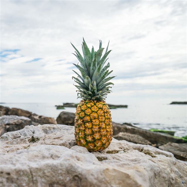 1024x1024 Pineapple Rocks Beach - view iPad Wallpaper