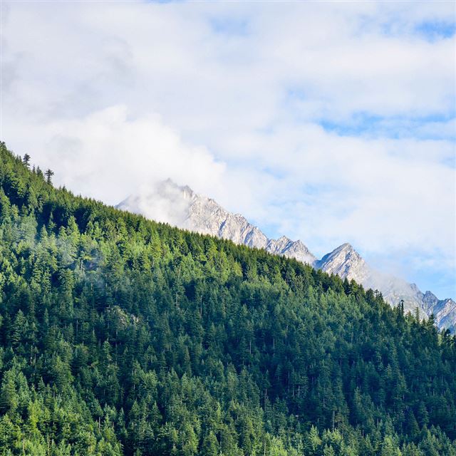 1024x1024 Wood Nature Mountain Blue Green Summer - green iPad Wallpaper
