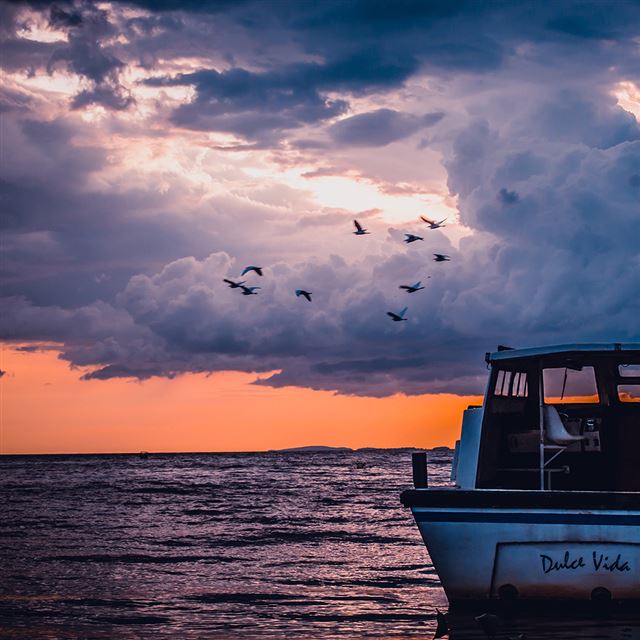 1024x1024 Sea Sunset Birds Sky Ocean Ship Nature Blue - yellow iPad Wallpaper