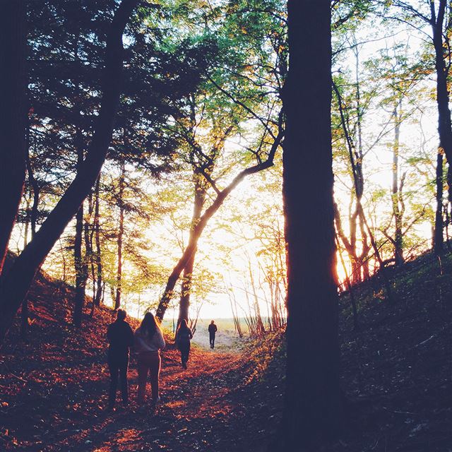 1024x1024 Hiking Mountain Wood Sunset Nature - yellow iPad Wallpaper
