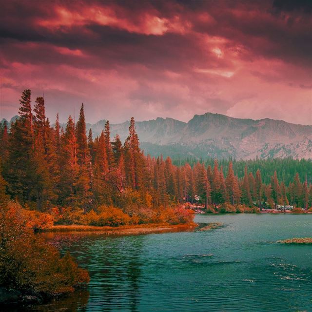 1024x1024 Lakes and mountains - tree iPad Wallpaper