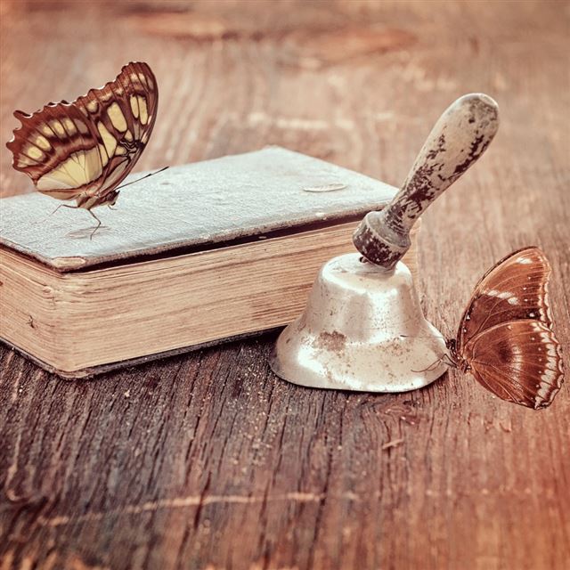 1024x1024 Book and butterflies - bell iPad Wallpaper