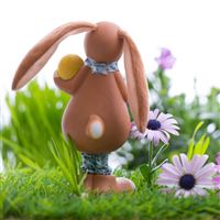 Easter bunny eggs grass wallpaper