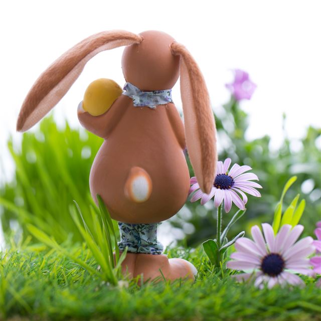 1024x1024 Easter bunny eggs grass - flower iPad Wallpaper