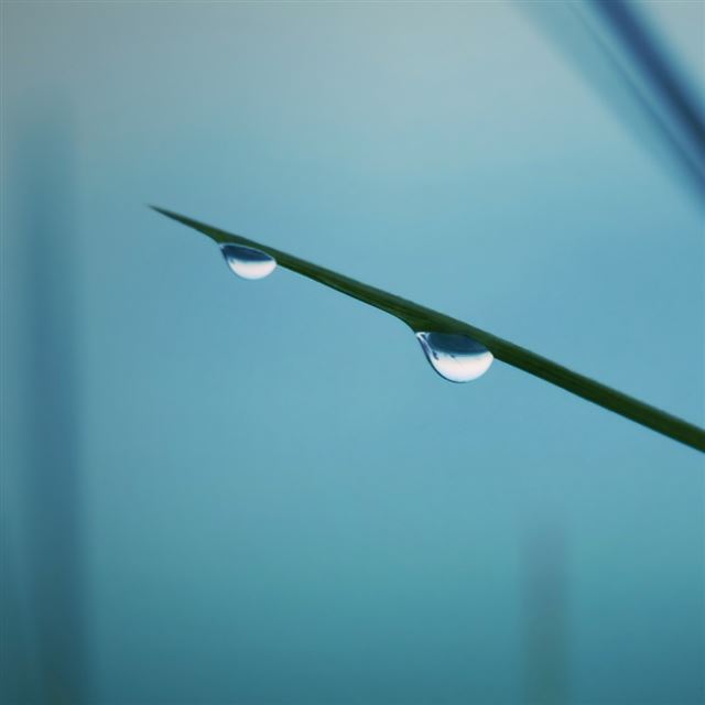 1024x1024 Drops - drops iPad Wallpaper