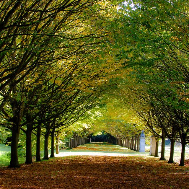 1024x1024 Its Autumn At Anglesey Abbey Cambridgeshire - autumn iPad Wallpaper