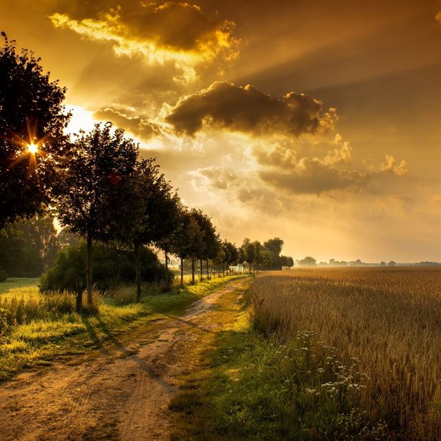 1024x1024 Autumn Landscape With Trees - trees iPad Wallpaper